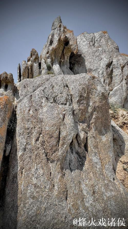 戴奇:我们正在培养团队精神,森林队始终实力不凡 戴奇:我们正在培养团队精神,森林队始终实力不凡